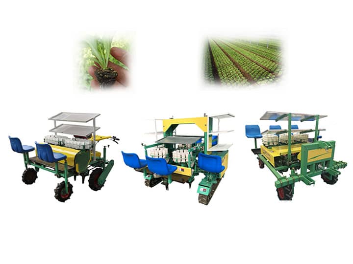 Plant transplanter machine 丨2/4 rows self propelled vegetable transplanter