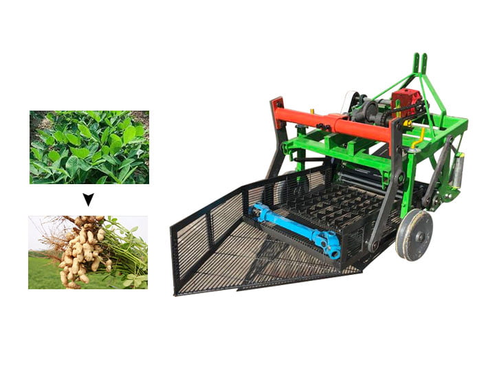 Peanut harvesting equipment丨groundnut harvesting machine