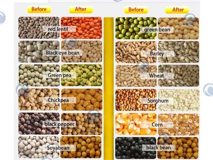 various beans 