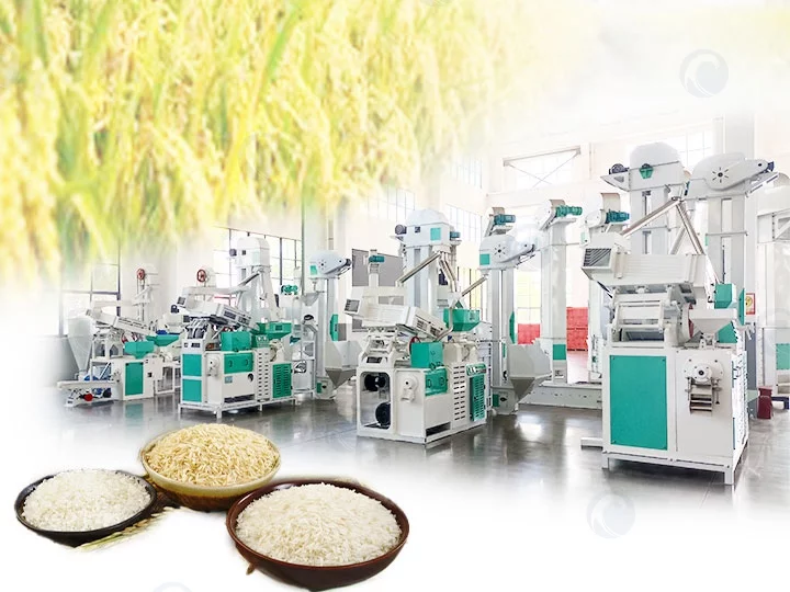 Línea de producción automática de fresadoras de arroz.