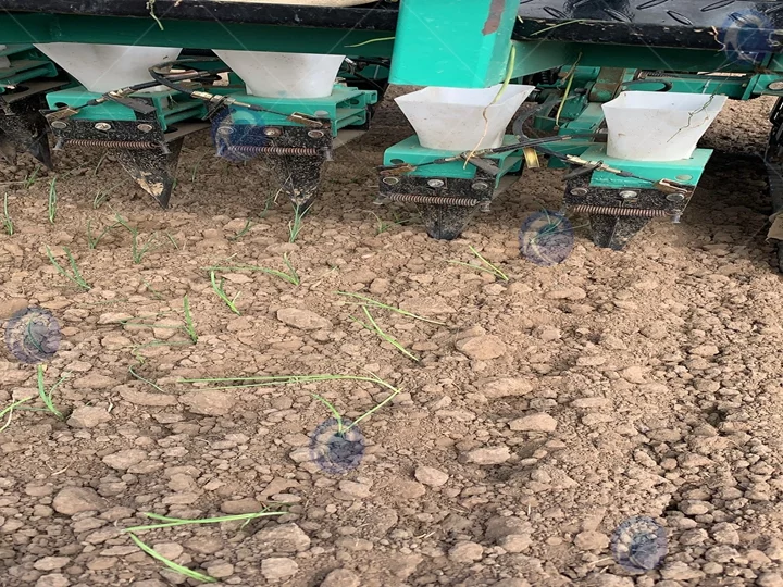 Onion transplanter machine working process