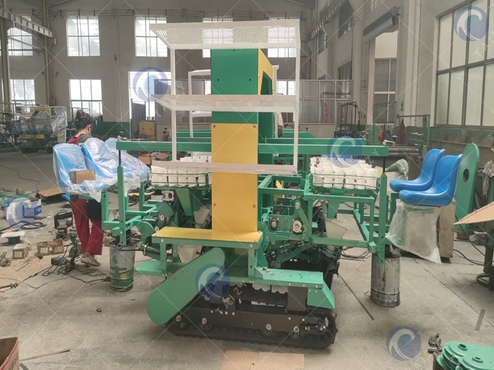 Onion transplanter machine in the Philippines