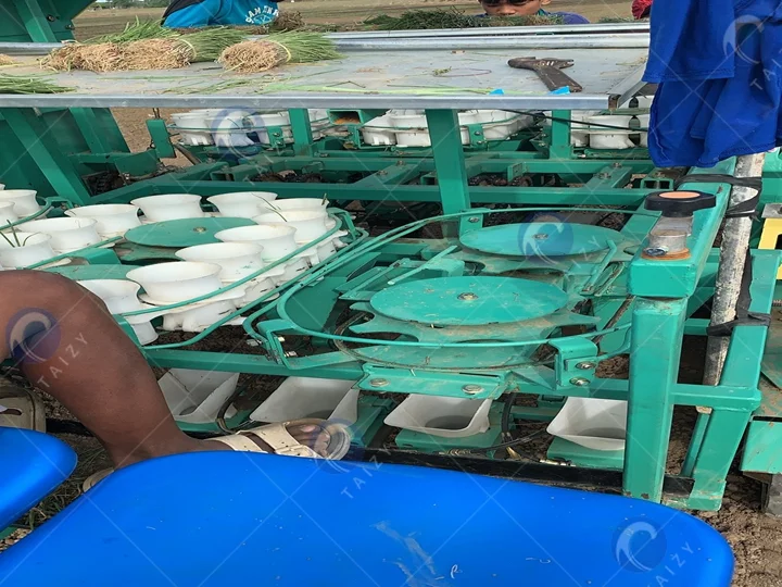 details of plant transplanter