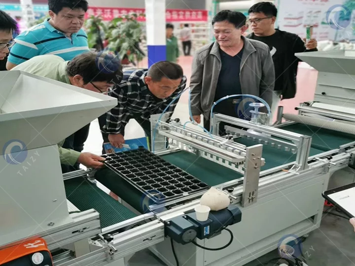 Seedling Tray Filling Machine in work