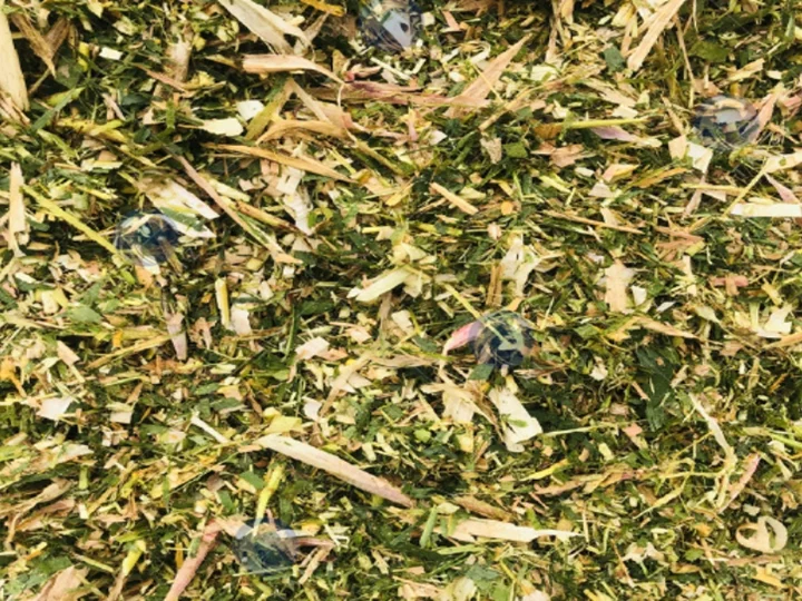 silage