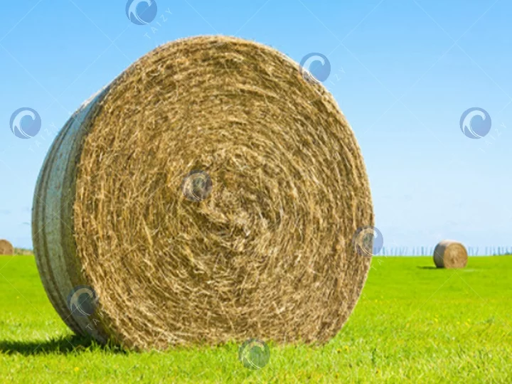 straw
