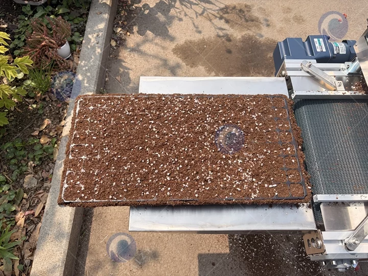 commercial seedling tray seeder