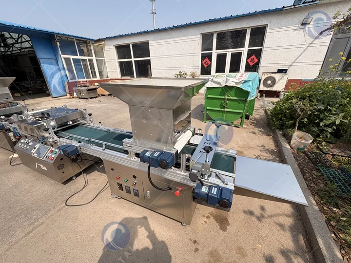 melon seedling seeding machine