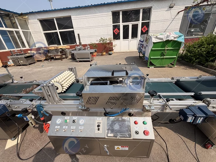 pepper seed sowing machine