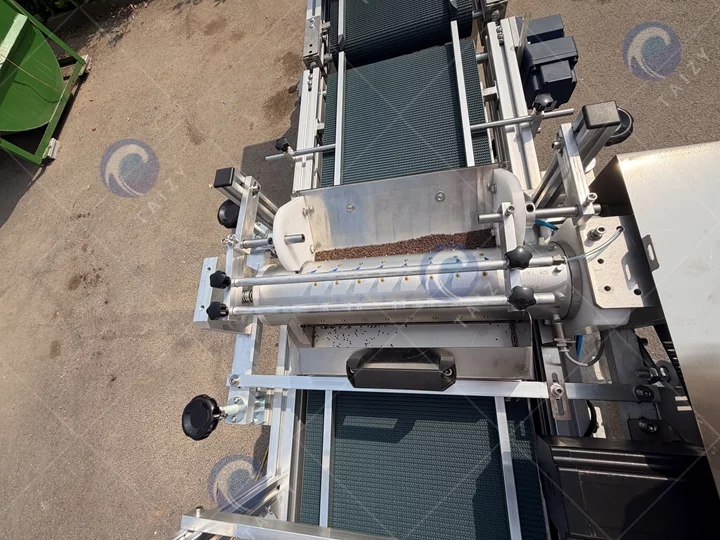 tomato seedling tray seeder
